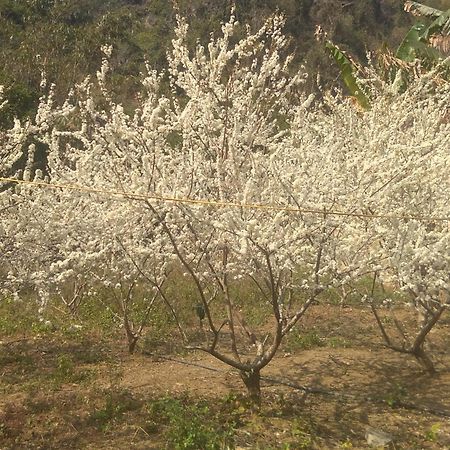 Trieu Chuong Homestay Као Банг Екстериор снимка